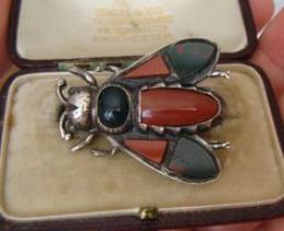 Creepy Crawly Jewelry