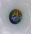 Boulder opals