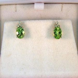 CroppedImage400400 2.50cttw merelani mint garnet earrings