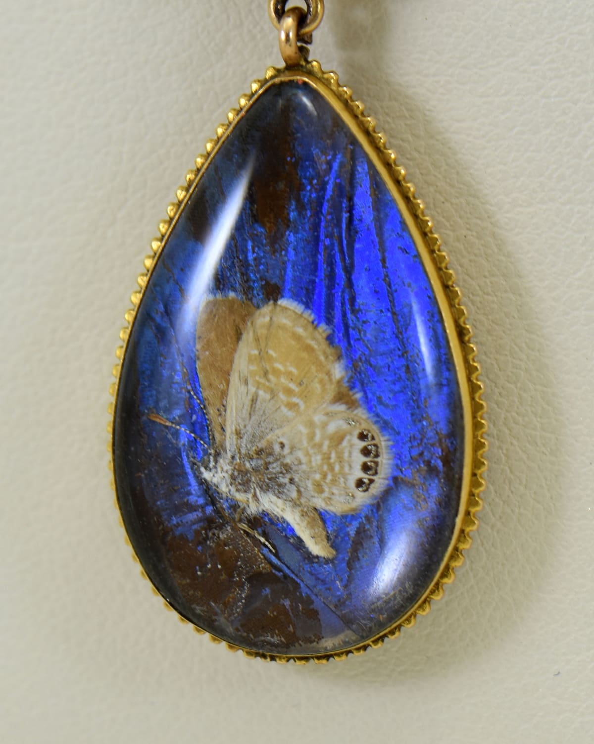 Butterfly wing pendant silver online