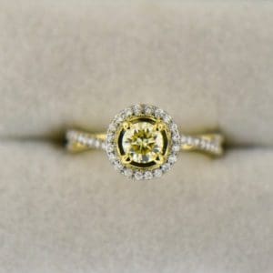 round yellow diamond engagement ring in yellow gold halo mounting 2