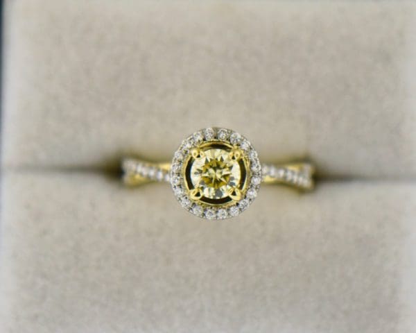 round yellow diamond engagement ring in yellow gold halo mounting 2